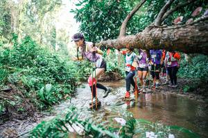 BIB: 
                            <button type="button" onclick="openModal(25516985)" class="btn btn-primary btn-sm float-right btn-popup" data-toggle="modal" data-target=".modal-high-quality">
                        <i class="fas fa-shopping-cart"></i> Add to Cart
                    </button>
                                            <button type="button" onclick="isThisMe(25516985, true)" class="btn btn-success btn-sm float-right btn-popup btn-isme hidden" data-toggle="tooltip" data-placement="bottom" title="นี่คือรูปของคุณใช่ไหม คลิกที่นี่เพื่อเอาเข้าอัลบั้ม">
                        <i class="fas fa-plus"></i> Add to album
                    </button>
                    <button type="button" onclick="isThisMe(25516985, false)" class="btn btn-warning btn-sm float-right btn-popup btn-isnotme hidden">
                        <i class="fas fa-ban"></i> Remove from album
                    </button>